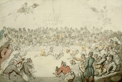 वेस्टमिंस्टर पिट, 1798 द्वारा थॉमस रोलैंड्सन