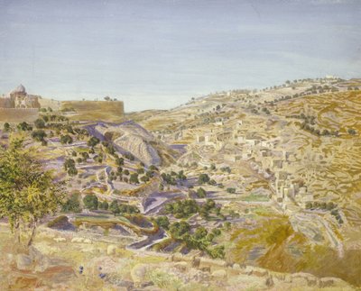 यरूशलेम का दृश्य, 1854 (कागज पर पानी का रंग) द्वारा थॉमस सेडॉन