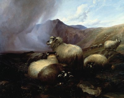 हाइलैंड भेड़ एक पहाड़ी लैंडस्केप में, 1854 द्वारा थॉमस सिडनी कूपर