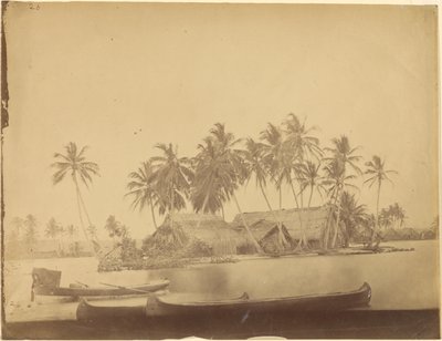  द्वारा टिमोथी एच। OSullivan