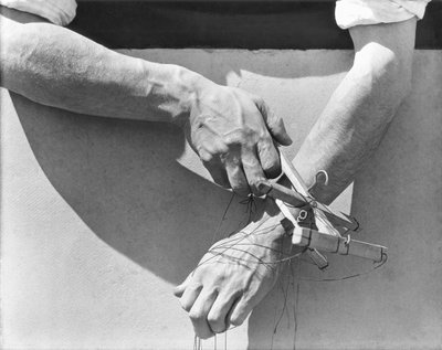 कठपुतली के हाथ, 1929 द्वारा Tina Modotti