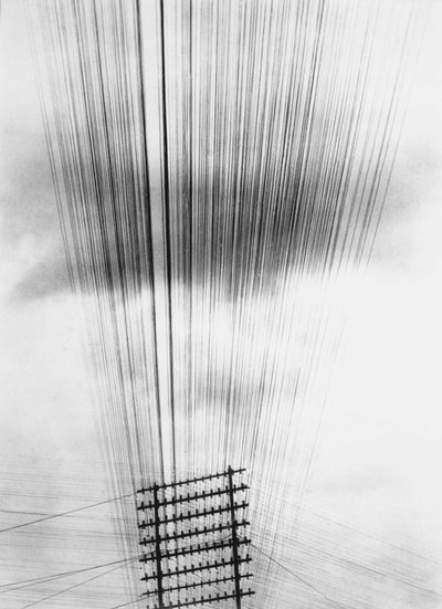 टेलीफोन तार, मेक्सिको, 1925 द्वारा Tina Modotti