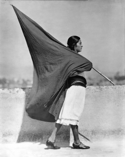 वुमन विथ फ्लैग, मेक्सिको सिटी, 1928 द्वारा Tina Modotti