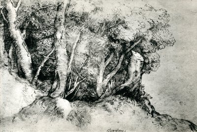 वन लैंडस्केप, c1516-1518, 1937 द्वारा टिज़ियानो वेकेली