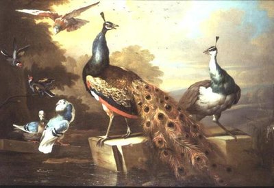 एक परिदृश्य में मोर और मटर मुर्गी द्वारा टोबियास स्ट्रानओवर
