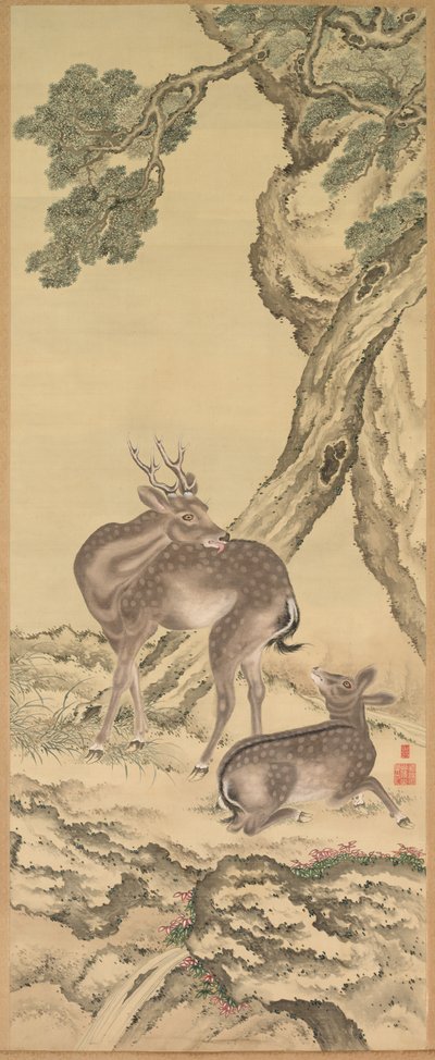  द्वारा टोडा तड़नाका