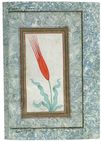 तुर्की ट्यूलिप एल्बम, इस्तांबुल, 1725 से पेज द्वारा तुर्की स्कूल