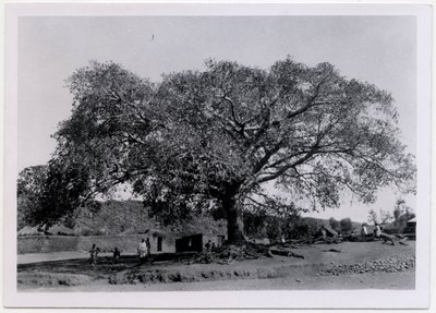  द्वारा उगो मोनेरेट डी विलार्ड