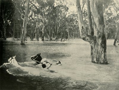 ए बैंकर, 1901। द्वारा अज्ञात