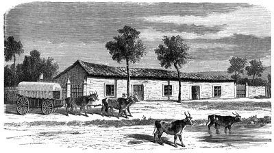 बोअर फार्म, दक्षिण अफ्रीका, c1890 द्वारा अज्ञात