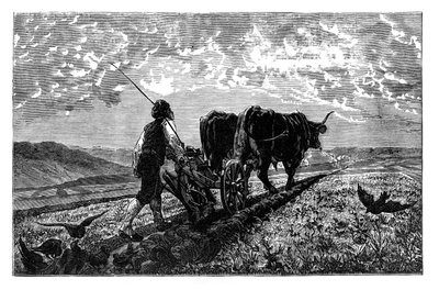 एक फ्रांसीसी कृषक, c1890 द्वारा अज्ञात