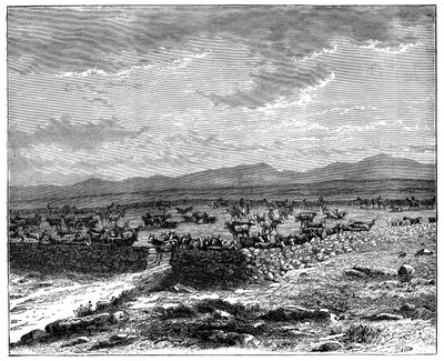 एक दक्षिण अफ्रीकी मवेशी क्राल, c1890 द्वारा अज्ञात