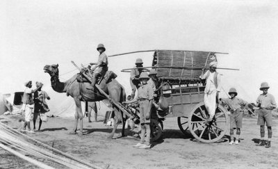 एक ऊंट गाड़ी, भारत, 1916-1917 द्वारा अज्ञात