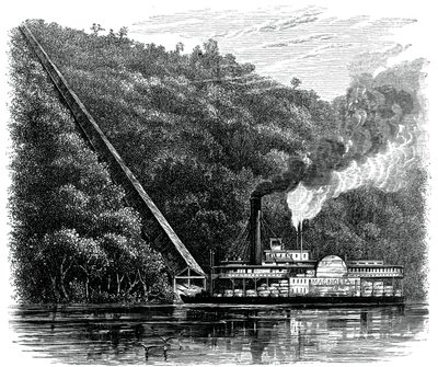 एक कपास की ढलान, संयुक्त राज्य अमेरिका, c1880 द्वारा अज्ञात
