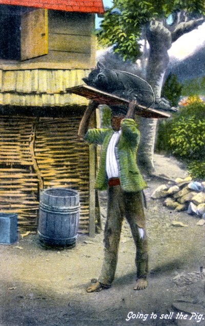 एक आदमी एक सुअर, जमैका, c1900s बेचने के लिए बाजार के रास्ते पर है द्वारा अज्ञात