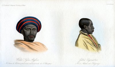 एबिसिनियन पोर्ट्रेट्स, 1848 द्वारा अज्ञात