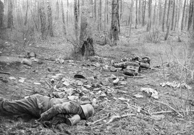 30 मार्च 1918 को फ्रांस के प्लेसिस-डे-रॉय, पिकार्डी के पार्क में लड़ाई के बाद द्वारा अज्ञात