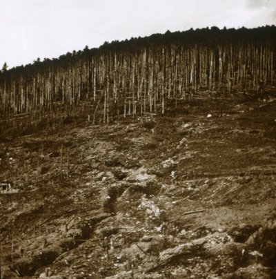 एलेस, c1914-c1918 द्वारा अज्ञात