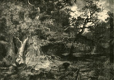 एक पुराना जर्मन वन, 1890। द्वारा अज्ञात
