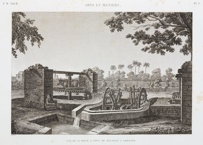 एनिमल पावर व्हील और बकेट इरिगेशन सिस्टम, मिस्र, c 1798 द्वारा अज्ञात