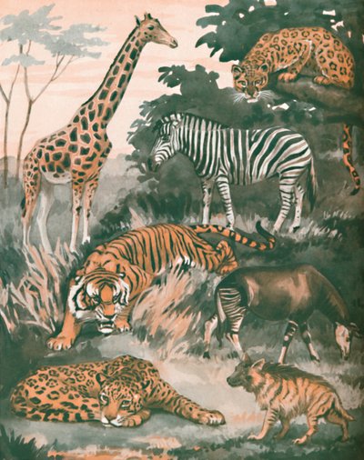 स्पॉट्स एंड स्ट्राइप्स, 1935 द्वारा जानवरों की मदद की गई द्वारा अज्ञात