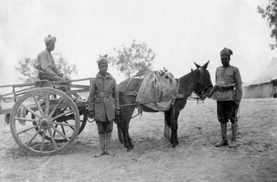 सेना की सेवा कॉर्प, होवशेरा, 1917 द्वारा अज्ञात