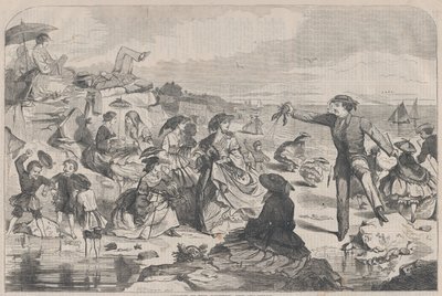 देश में अगस्त - द सी-शोर हार्पर वीकली, वॉल्यूम। III, 27 अगस्त, 1859। द्वारा अज्ञात
