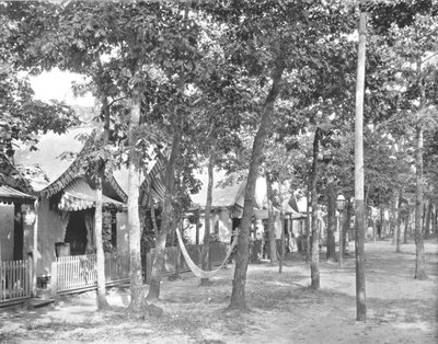 एवेन्यू ऑफ टेंट, ओशन ग्रोव, न्यू जर्सी, यूएसए, c1900। द्वारा अज्ञात