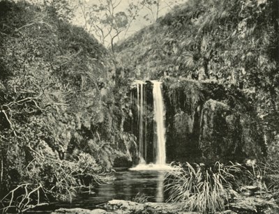 बैक क्रीक फॉल्स, बुकान नदी, विक्टोरिया, 1901। द्वारा अज्ञात