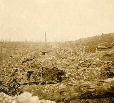 बैटलफील्ड, बेजोनॉक्स, वर्दुन, उत्तरी फ्रांस, c1914-c1918 द्वारा अज्ञात
