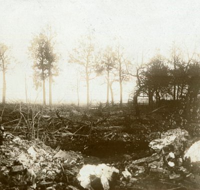 बैटलफील्ड, रोसेलेरे, फ्लैंडर्स, बेल्जियम, c1914-c1918 द्वारा अज्ञात