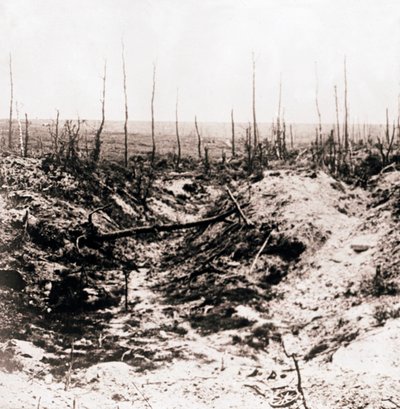 बैटलफील्ड, c1914-c1918 द्वारा अज्ञात