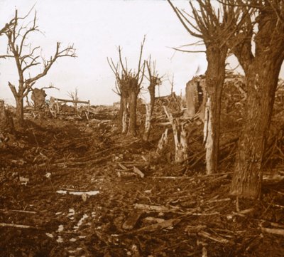 ब्लास्ट लैंडस्केप, बेल्लॉय-एन-सेंचरे, उत्तरी फ्रांस, c1914-c1918 द्वारा अज्ञात