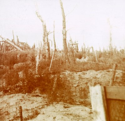 ब्लास्ट की गई लकड़ी, नीवोपोर्ट, फ्लैंडर्स, बेल्जियम, c1914-c1918 द्वारा अज्ञात