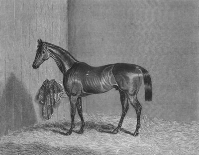 ब्लूम्सबरी, 1836-1861, 1911 द्वारा अज्ञात
