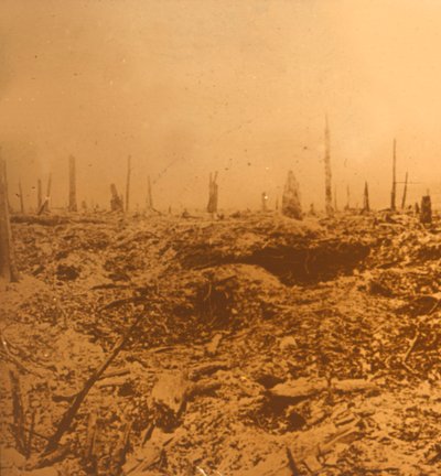 बोइस डु चैपिट्रे, वॉक्स, उत्तरी फ्रांस, c1914-c1918 द्वारा अज्ञात