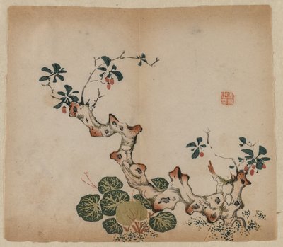 ब्रांचिंग स्टंप, 1368-1644। द्वारा अज्ञात
