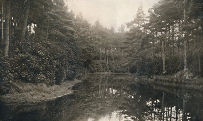 ब्रांक्सोमाइन चाइन और झील, c1910 द्वारा अज्ञात