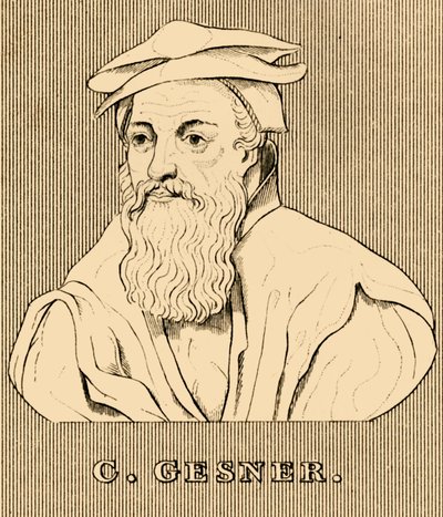 सी Gesner, 1516-1565, 1830। द्वारा अज्ञात