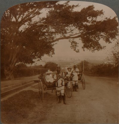 निवास स्थान रोड, नैर्बन, एस। अफ्रीका पर मूल निवासियों द्वारा खींची गई टैक्सी, c1900 द्वारा अज्ञात