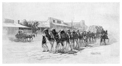 कैमल टीम, विल्कानिया, न्यू साउथ वेल्स, ऑस्ट्रेलिया, 1886 द्वारा अज्ञात
