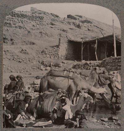 येरश से ऊंट ट्रेन, एलीशा के फाउंटेन में पानी, c1900 द्वारा अज्ञात