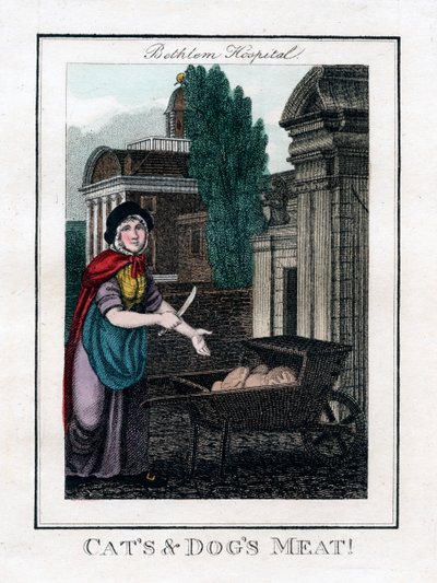 बिल्ली और कुत्ते का मांस !, बेथलेम अस्पताल, लंदन, 1805 द्वारा अज्ञात
