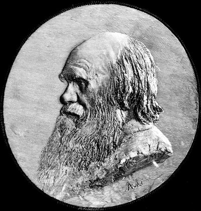 चार्ल्स डार्विन, 1882 द्वारा अज्ञात