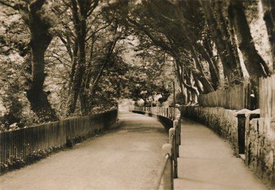 चाइना एवेन्यू, शंकलिन, IW, c1920। द्वारा अज्ञात