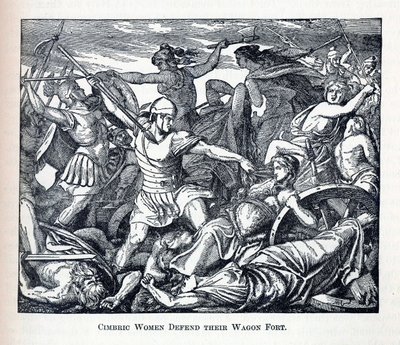 सिम्ब्रिक महिलाएँ अपने वैगन फोर्ट, 1882 की रक्षा करती हैं द्वारा अज्ञात