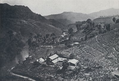 श्रीलंका की चाय बागान, 1924 द्वारा अज्ञात