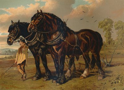 क्लाइडडेल स्टालियन और घोड़ी, सी 1879। द्वारा अज्ञात