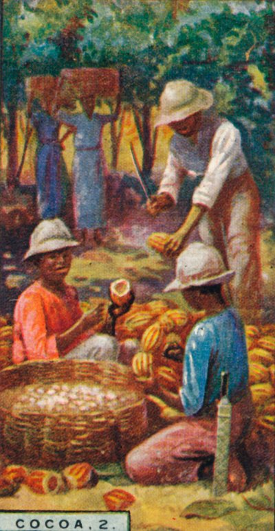 कोको, 2. - पॉड्स खोलना, त्रिनिदाद, 1928 द्वारा अज्ञात