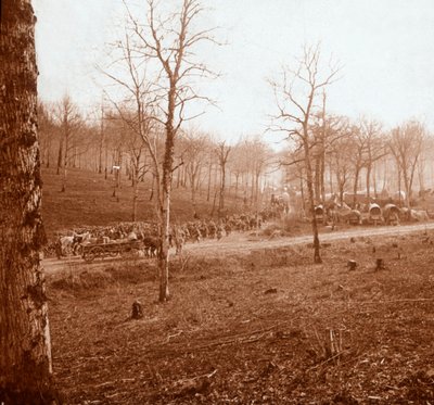 सैनिकों के स्तंभ, जेनेकोर्ट, उत्तरी फ्रांस, c1914-c1918 द्वारा अज्ञात